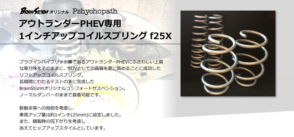 �yPshychopath�z�A�E�g�����_�[PHEV��p1�C���`�A�b�v�R�C���X�v�����O f25X