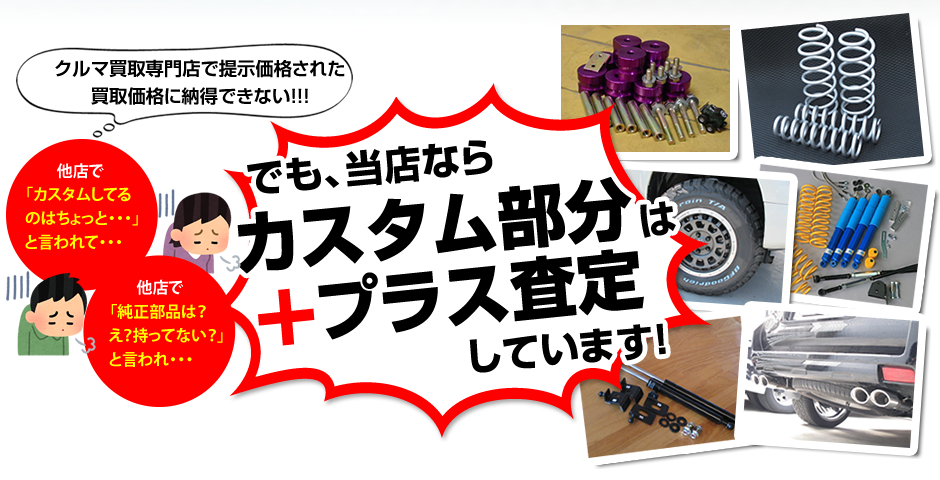 �J�X�^�������̓v���X����I