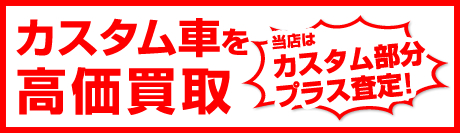 �J�X�^���Ԃ���������