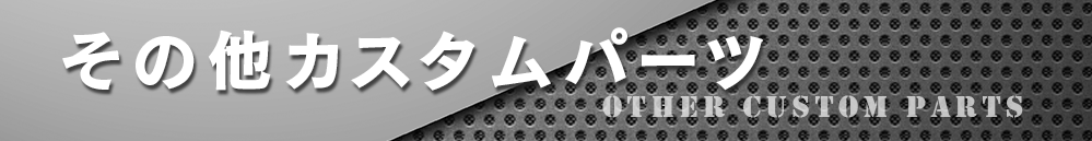 ���̑��̃J�X�^���p�[�c